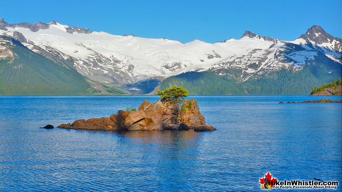 Battleship Islands Lithophyte