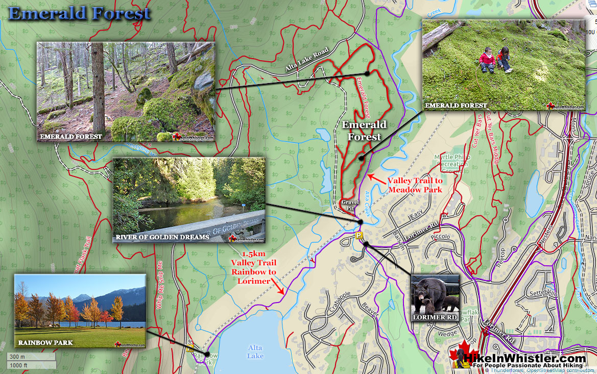 Emerald Forest Map