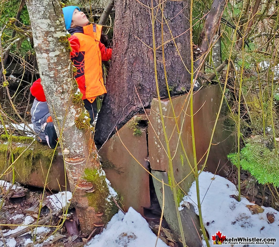 Kids Climbing Parkhurst Plow Tree