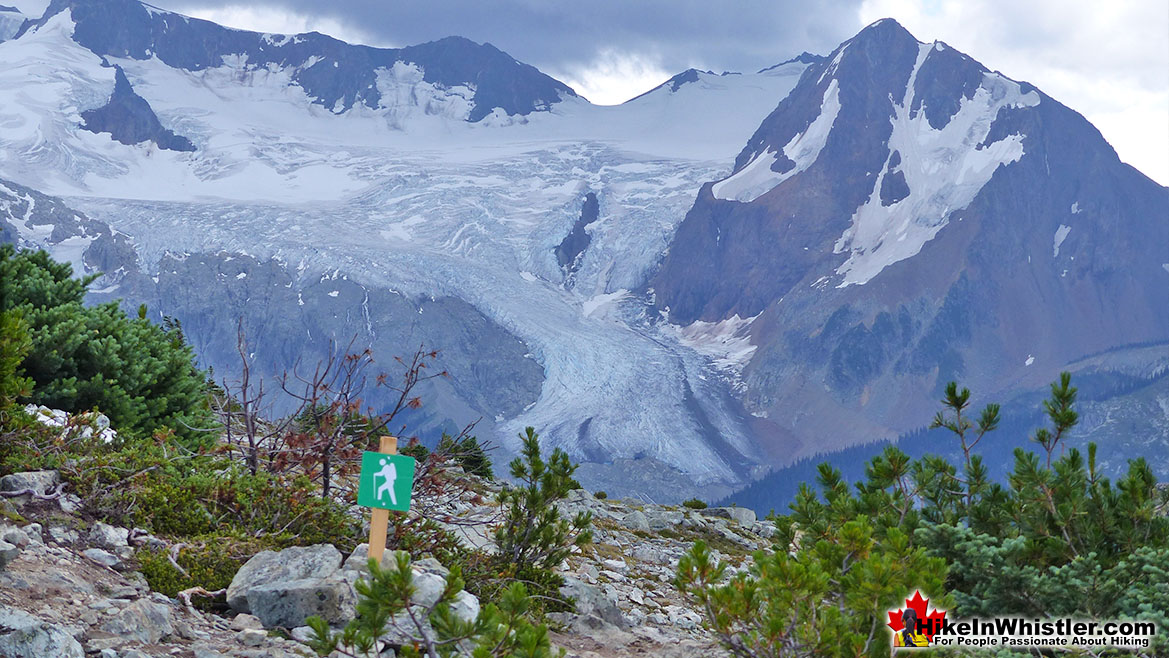 Blackcomb View of Overlord Glacier