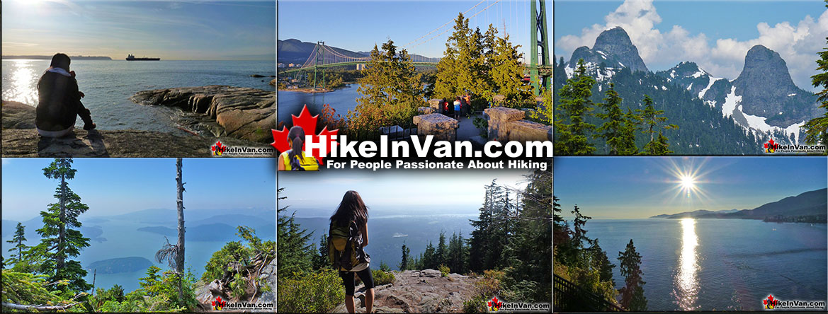 Best Vancouver Hiking Trails