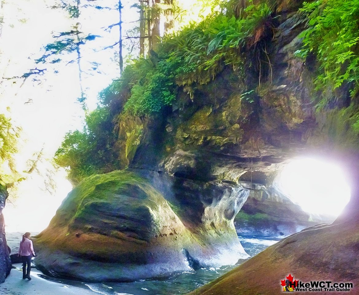 Amazing West Coast Trail