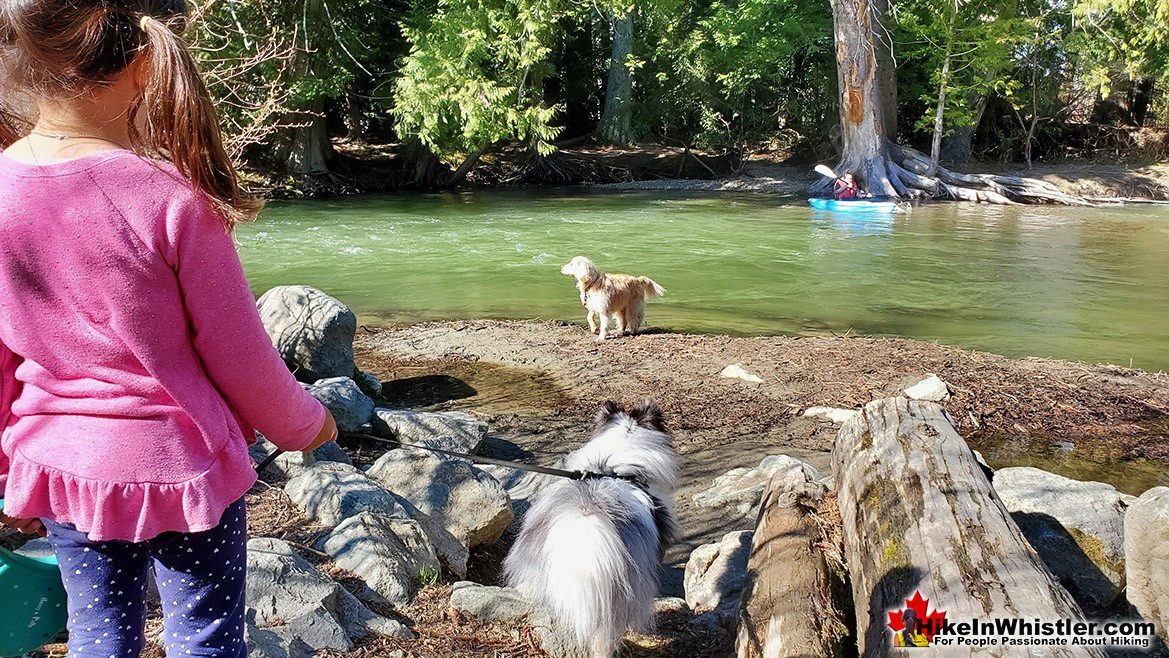 Dog Friendly River of Golden Dreams