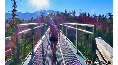 Dog Friendly Whistler Bungee Bridge