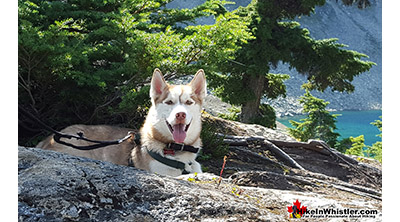 Dog Friendly Whistler Cirque Lake