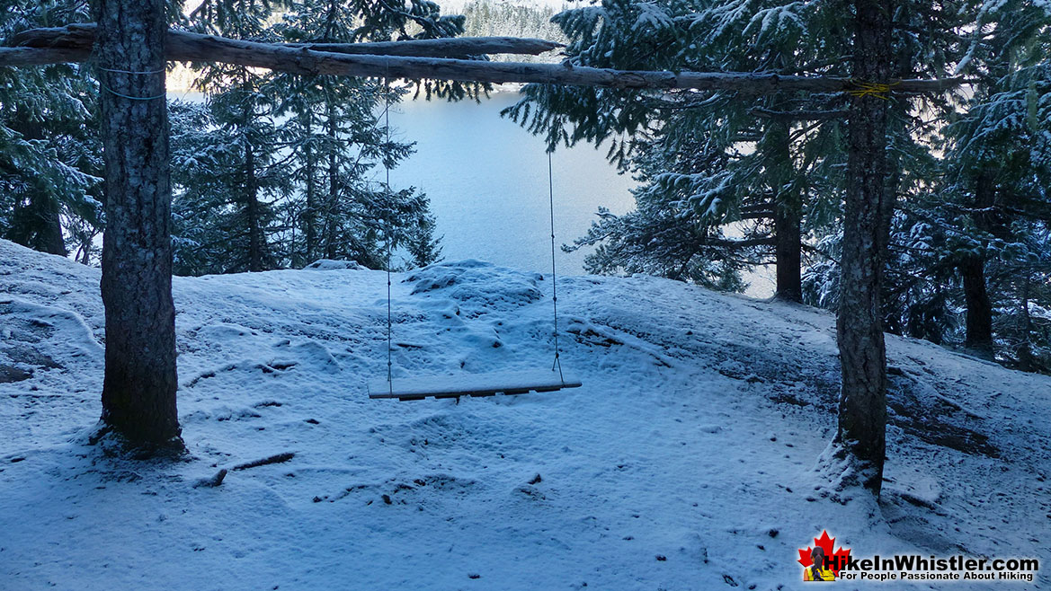 Blueberry Park Swing