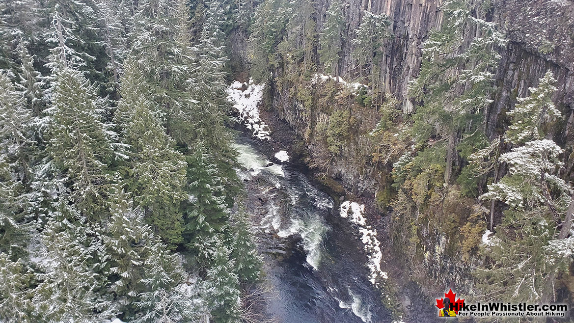 Cheakamus River Bungee Bridge