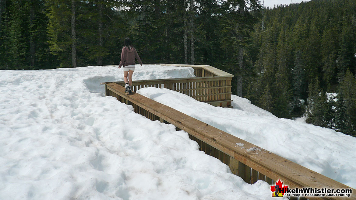 Winter Walkway Alexander Falls