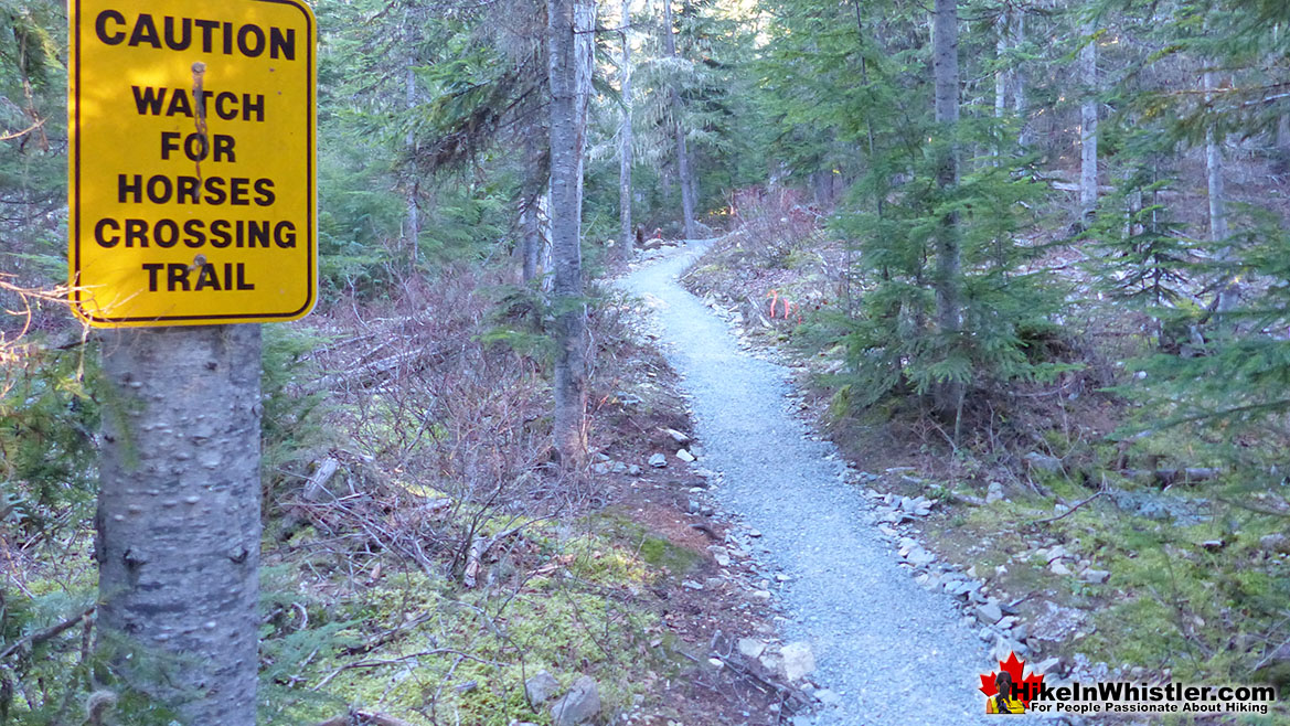 Ancient Cedars Watch for Horses Trail Sign