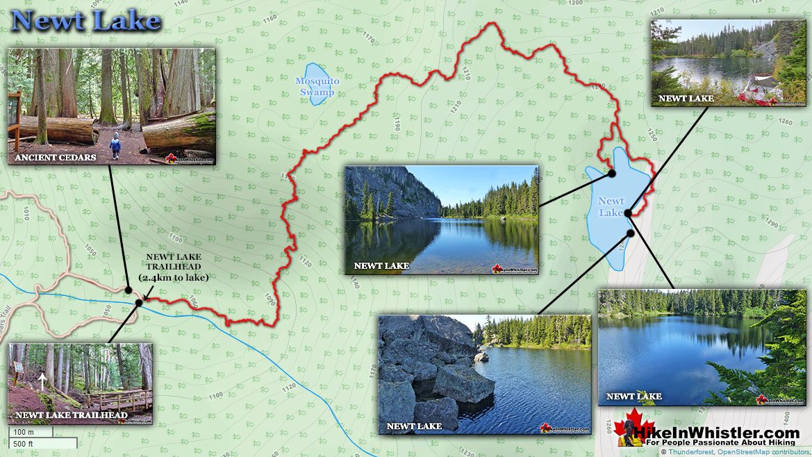 Newt Lake Map v5a