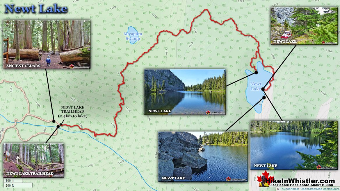 Newt Lake Map v6a
