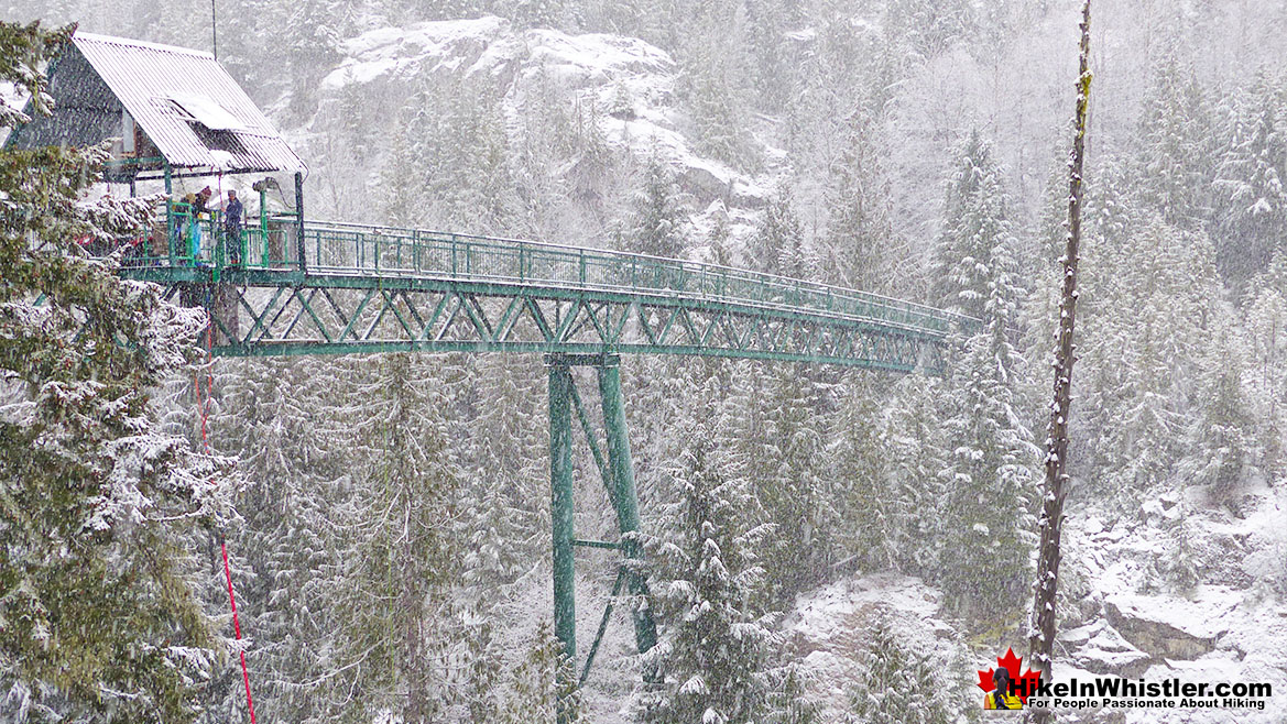 Bungee Bridge Snowshoeing Whistler