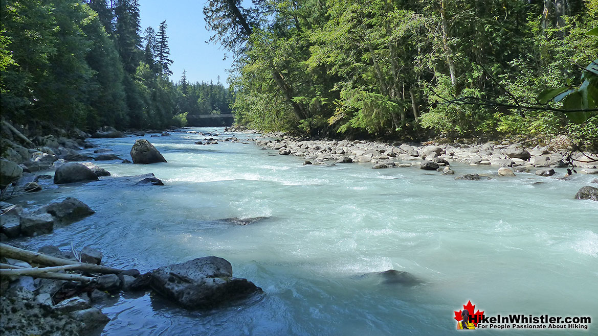 Cal-Cheak Campground Near Brandywine Falls