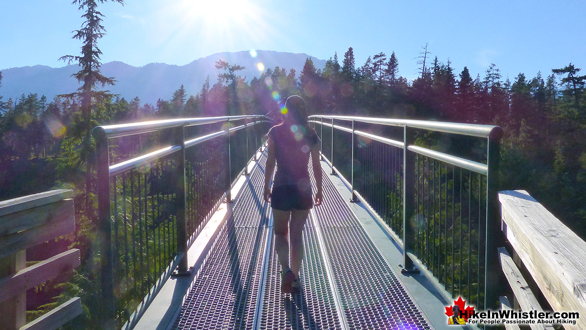 Bungee Bridge Above Cheakamus River