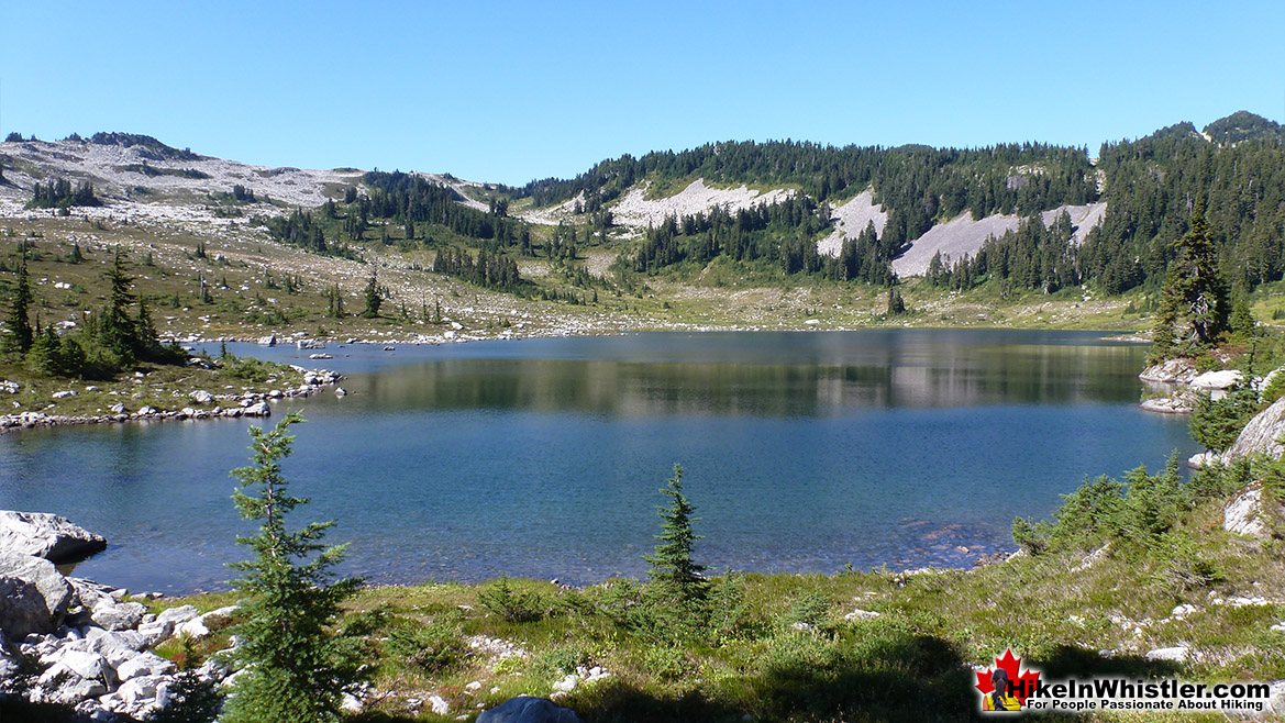Brew Lake Hike in Whistler