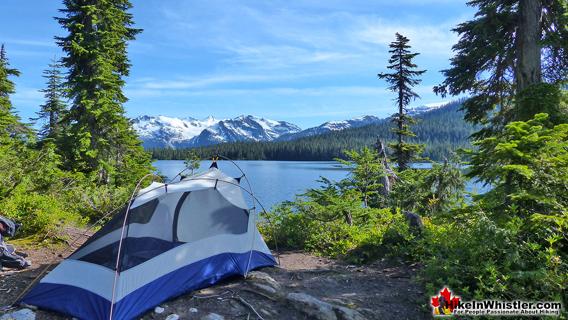 Callaghan Lake Near Alexander Falls