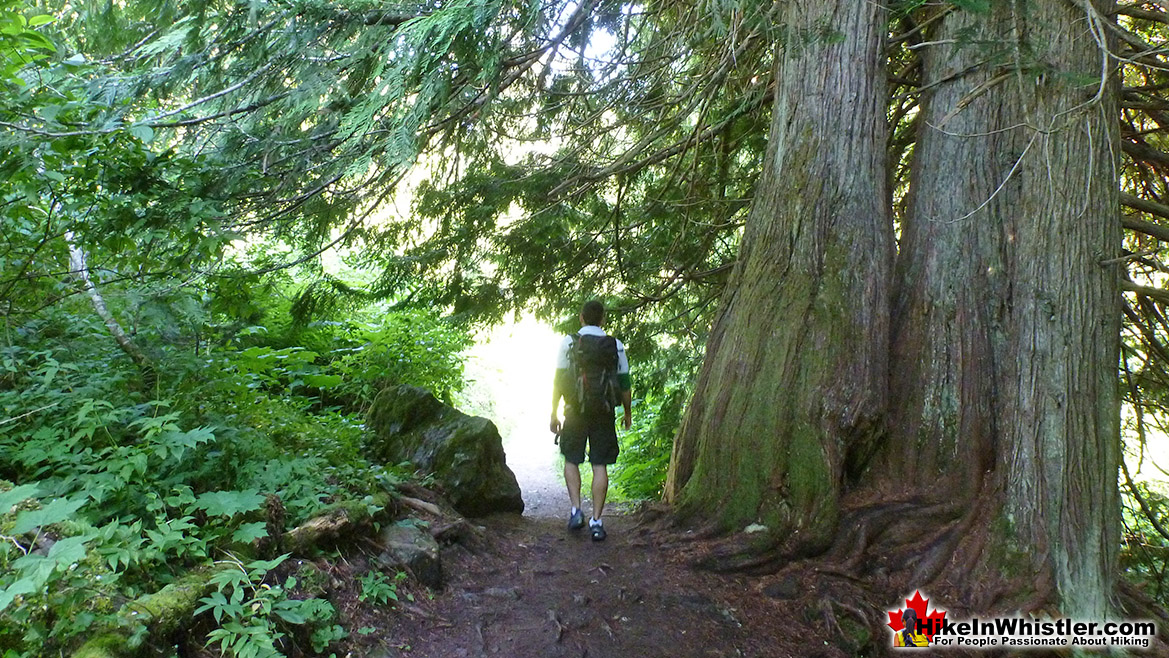 Best Whistler Hiking in June - Cheakamus Lake