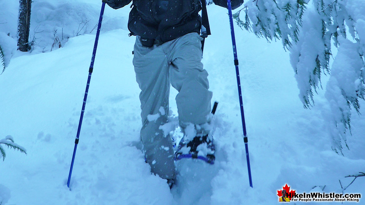 Cheakamus River Snowshoeing