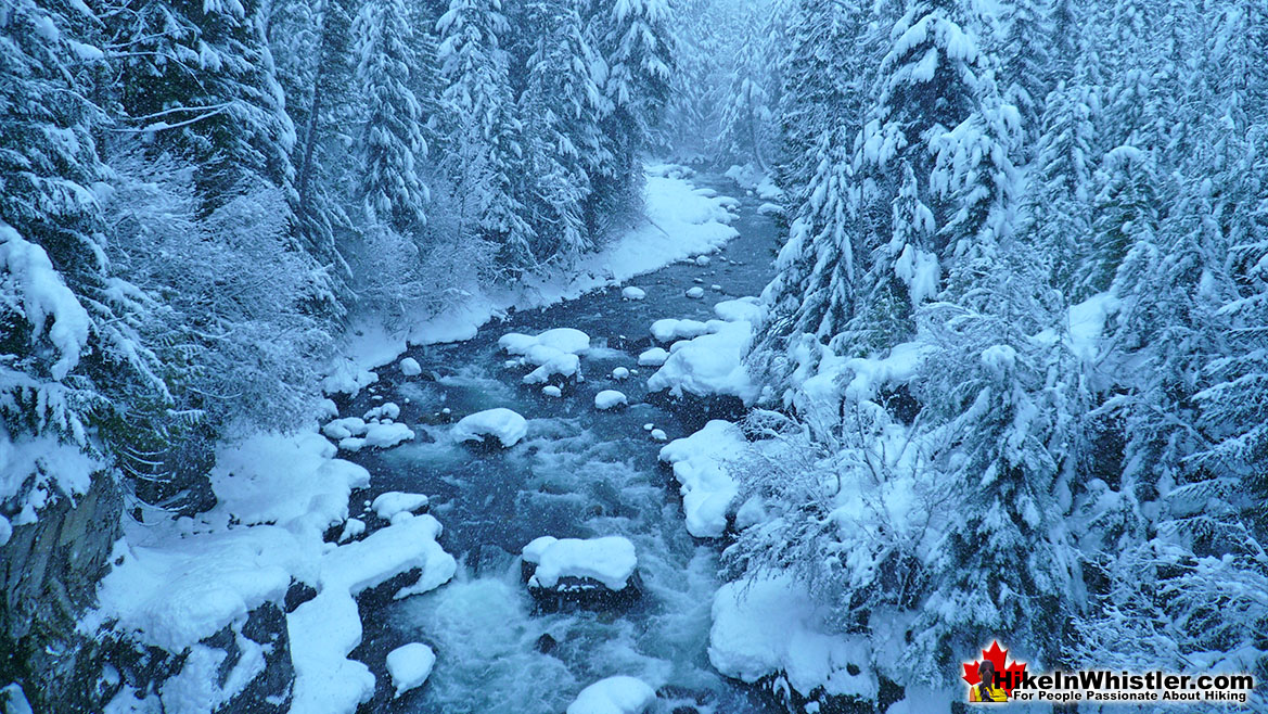 Snowshoeing Cheakamus River