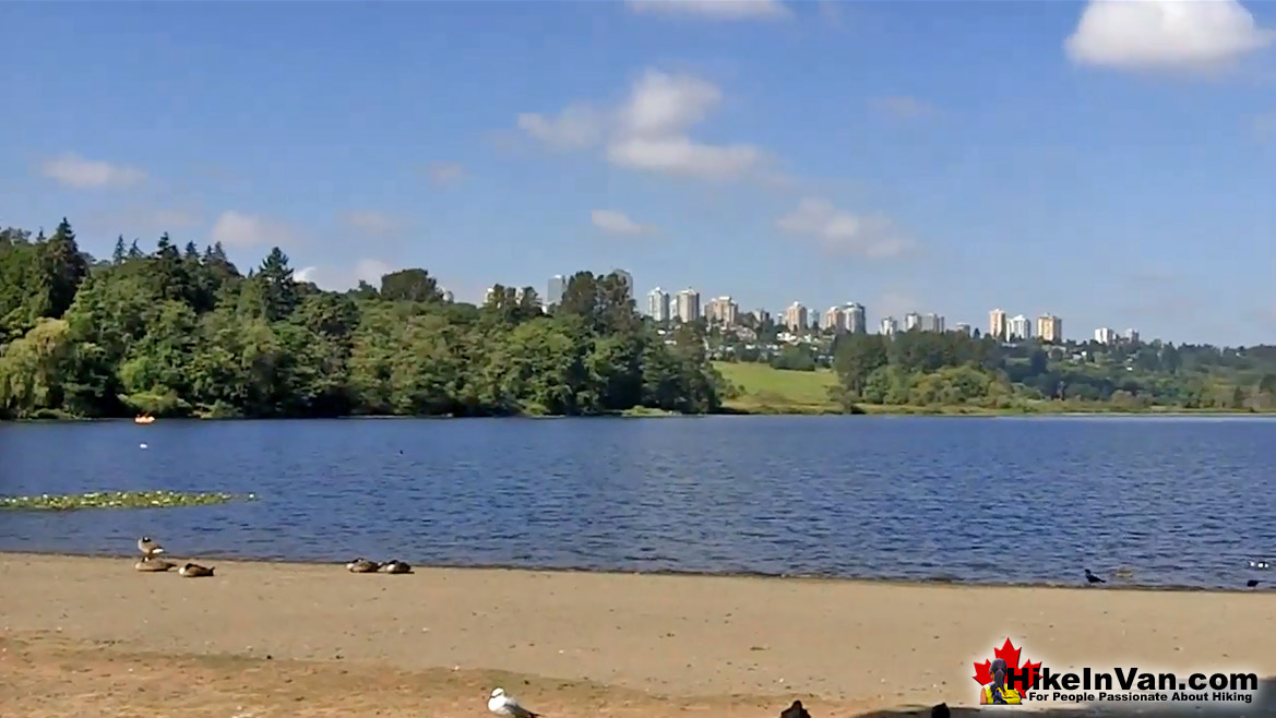 Deer Lake Park Hike in Vancouver