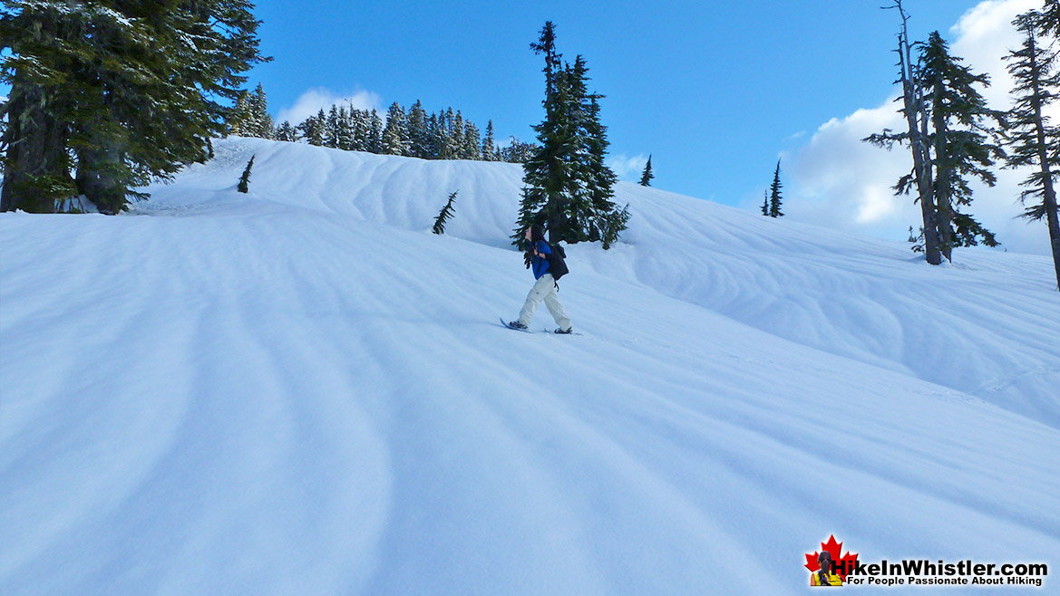 The Elfin Lakes Trail