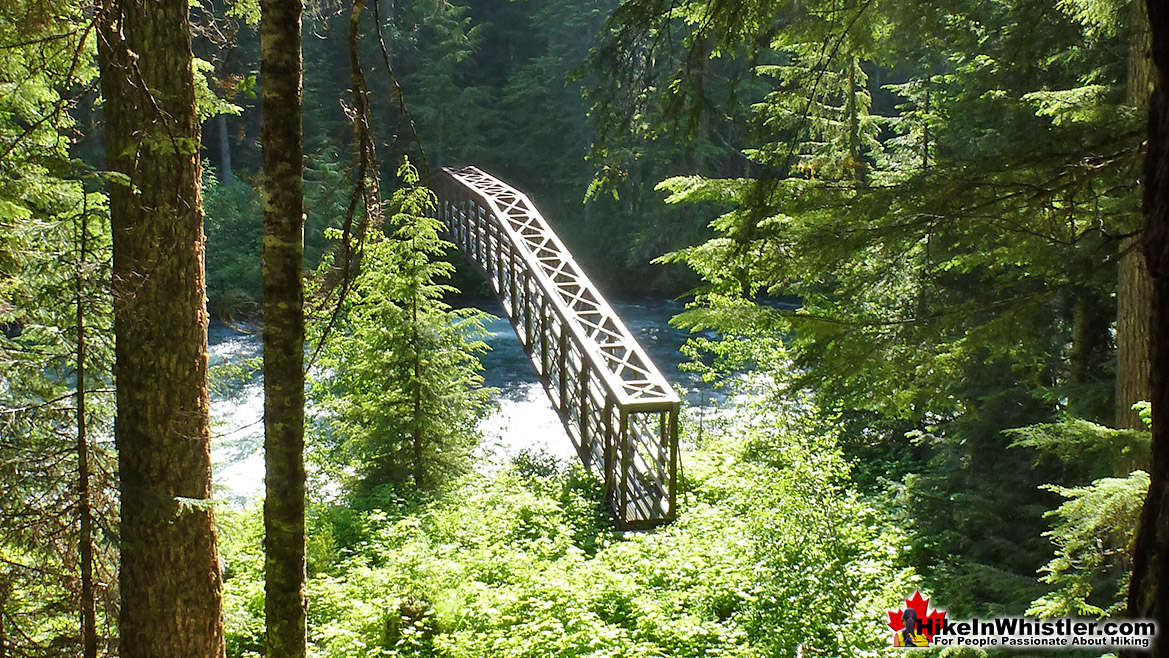 Bridge to Helm Creek along the Cheakamus Lake trail