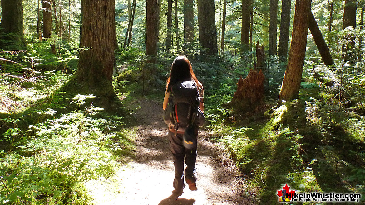 The Helm Creek Trail