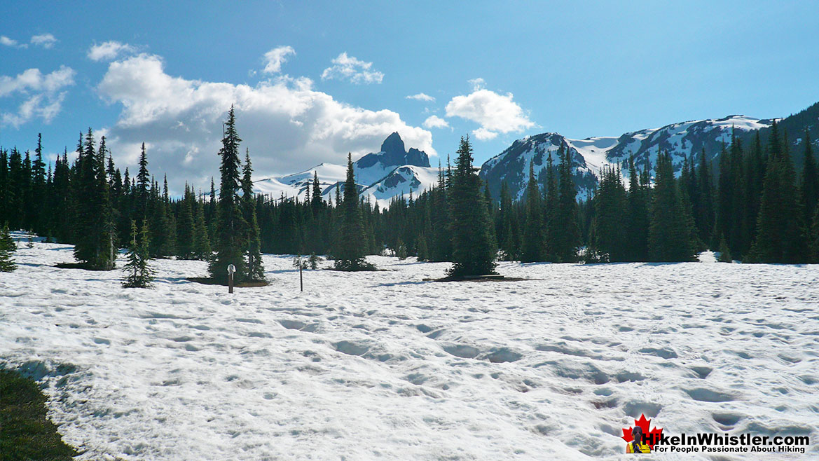 Helm Creek Campground Early July