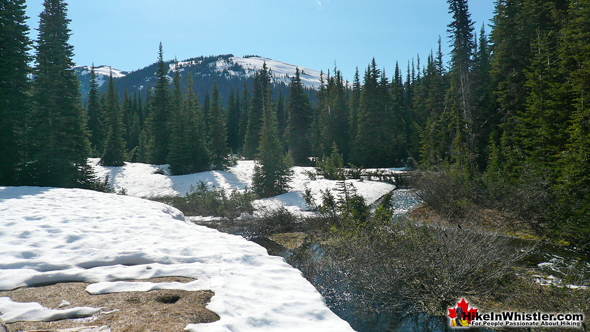 Helm Creek Campground Tent View