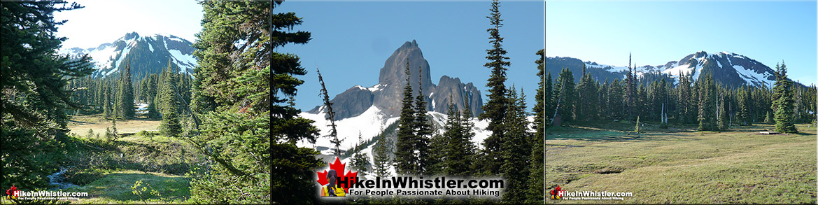 Helm Creek Campsite in Garibaldi Park