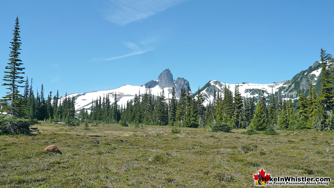 Helm Creek Trail to Black Tusk 4