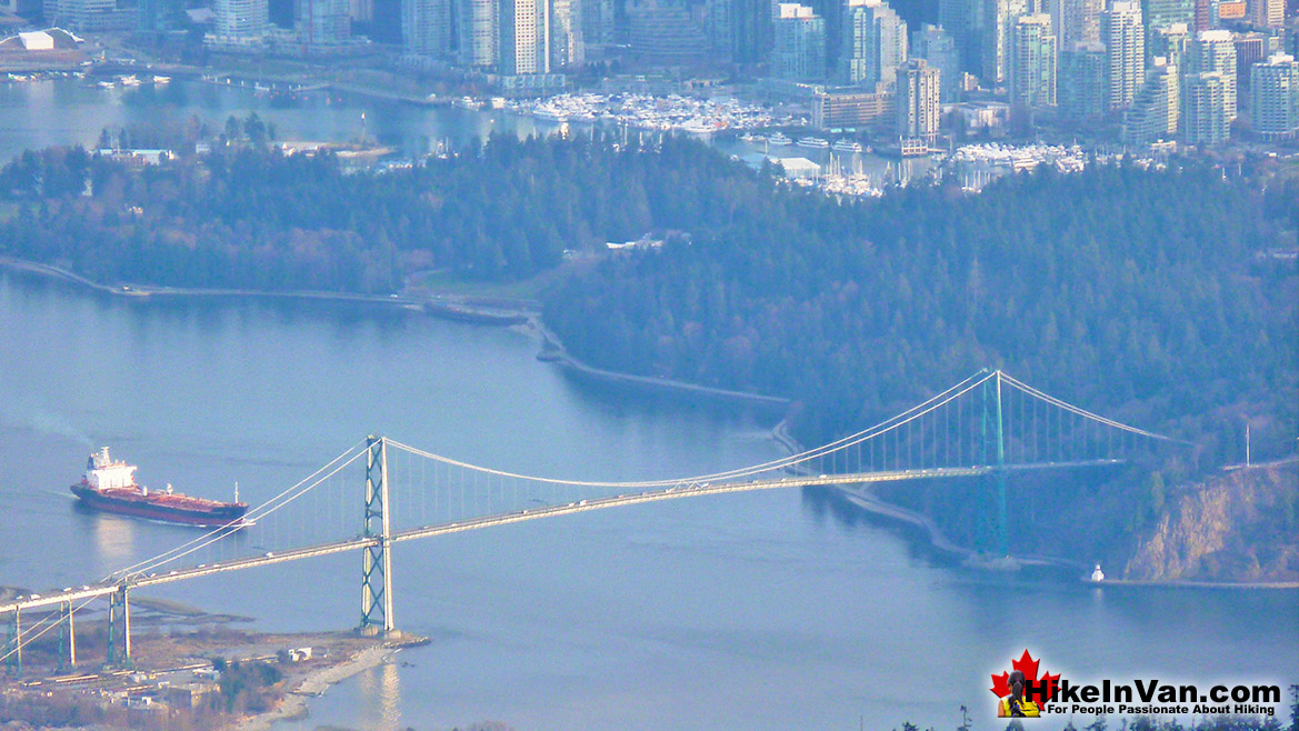 Hollyburn Mountain View Hollyburn Mountain View