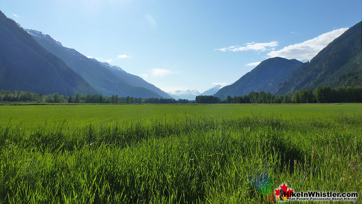 Pemberton Meadows View on the Drive to Keyhole