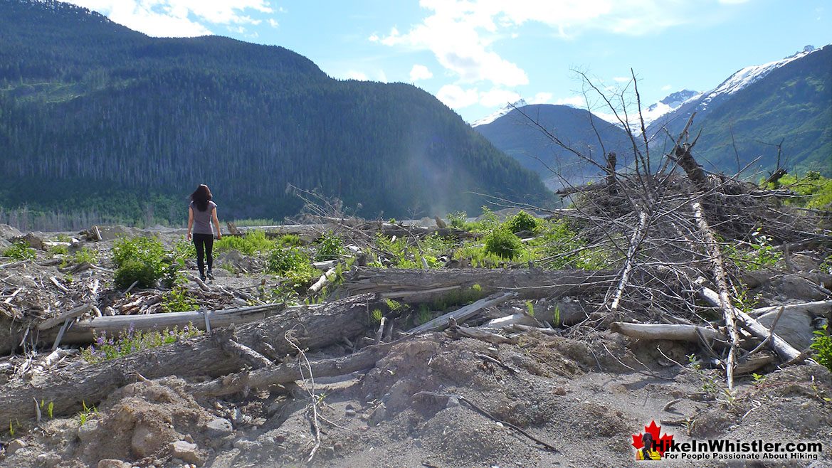 Meager Slide Debris in 2013