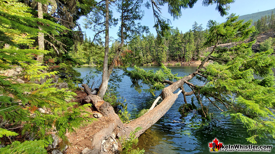 Logger's Lake Whistler