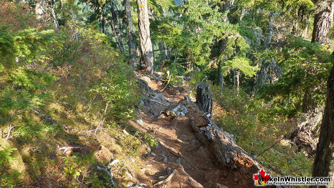 Crater Rim Trail Steep Descent