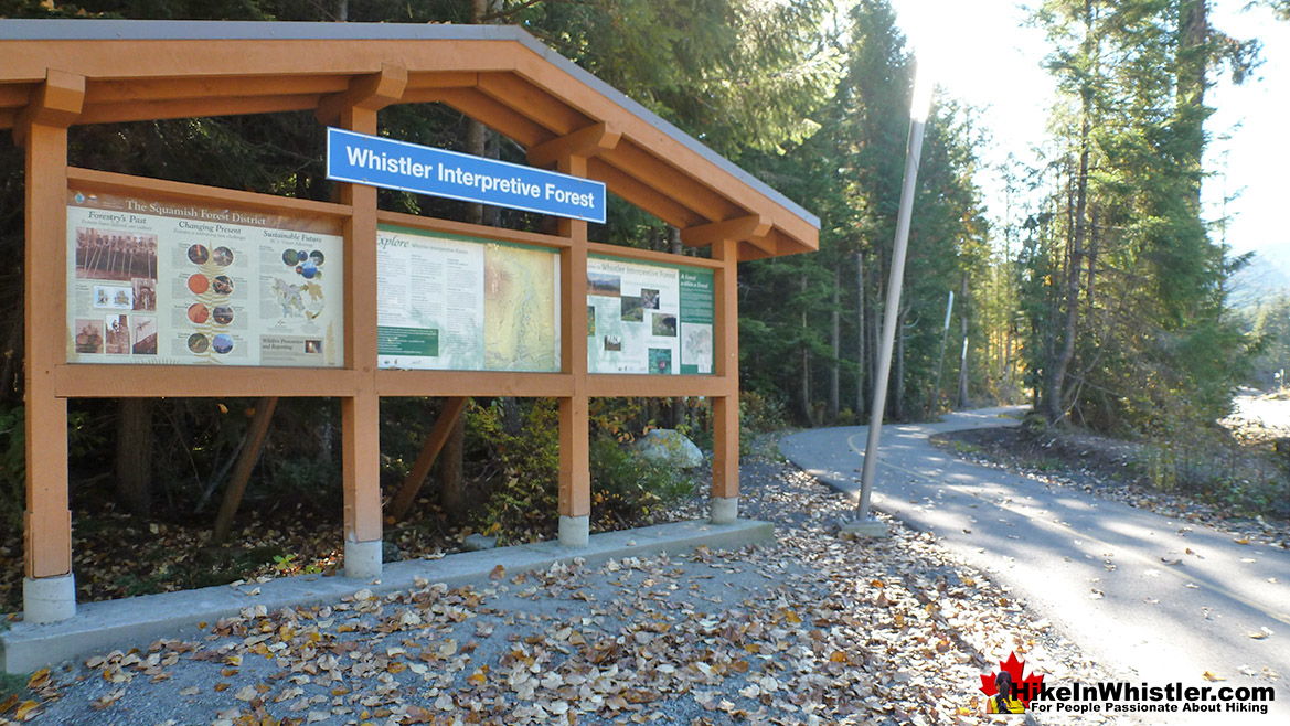 Whistler Interpretive Forest Trailhead Parking