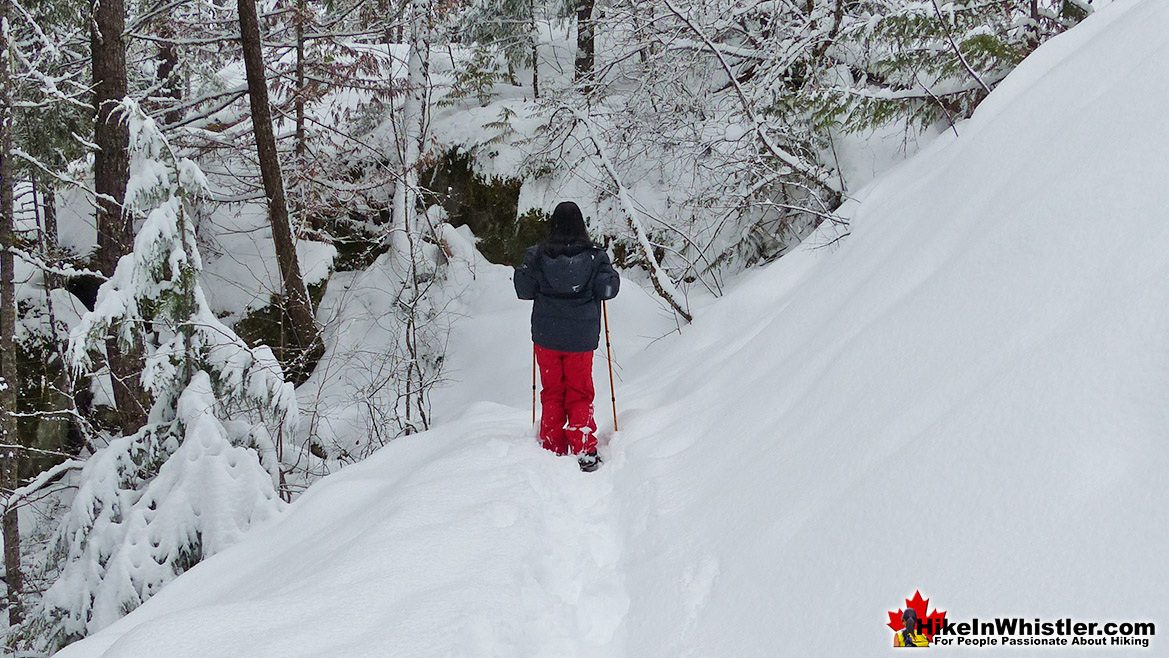 Snowshoeing to Nairn Falls