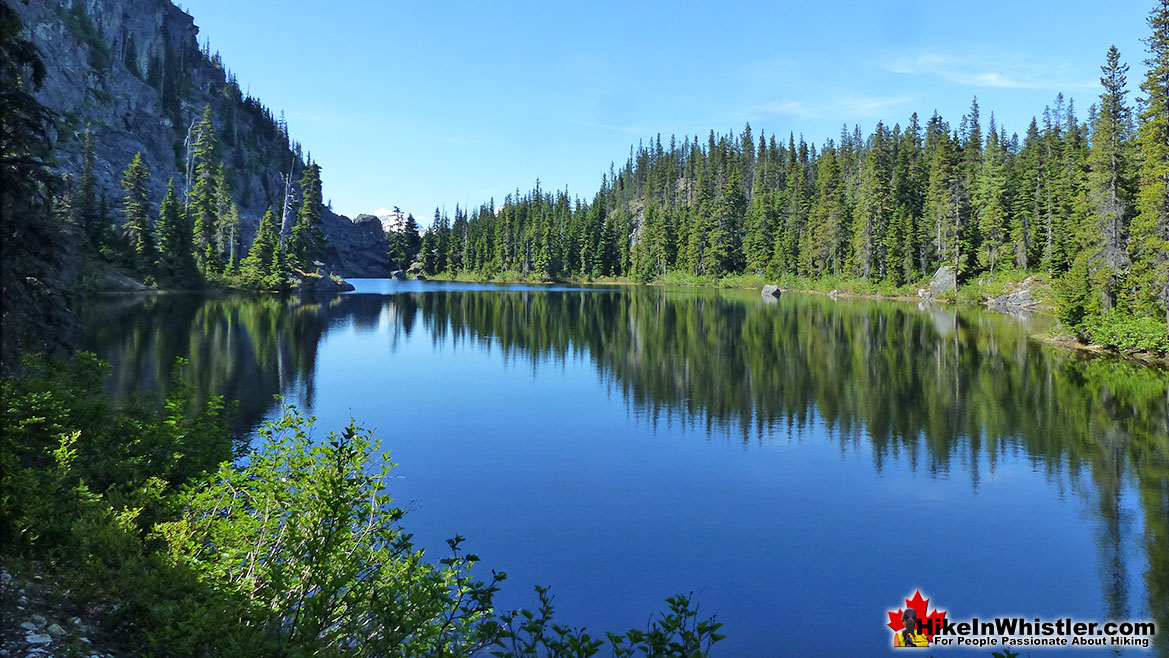 Amazing Newt Lake