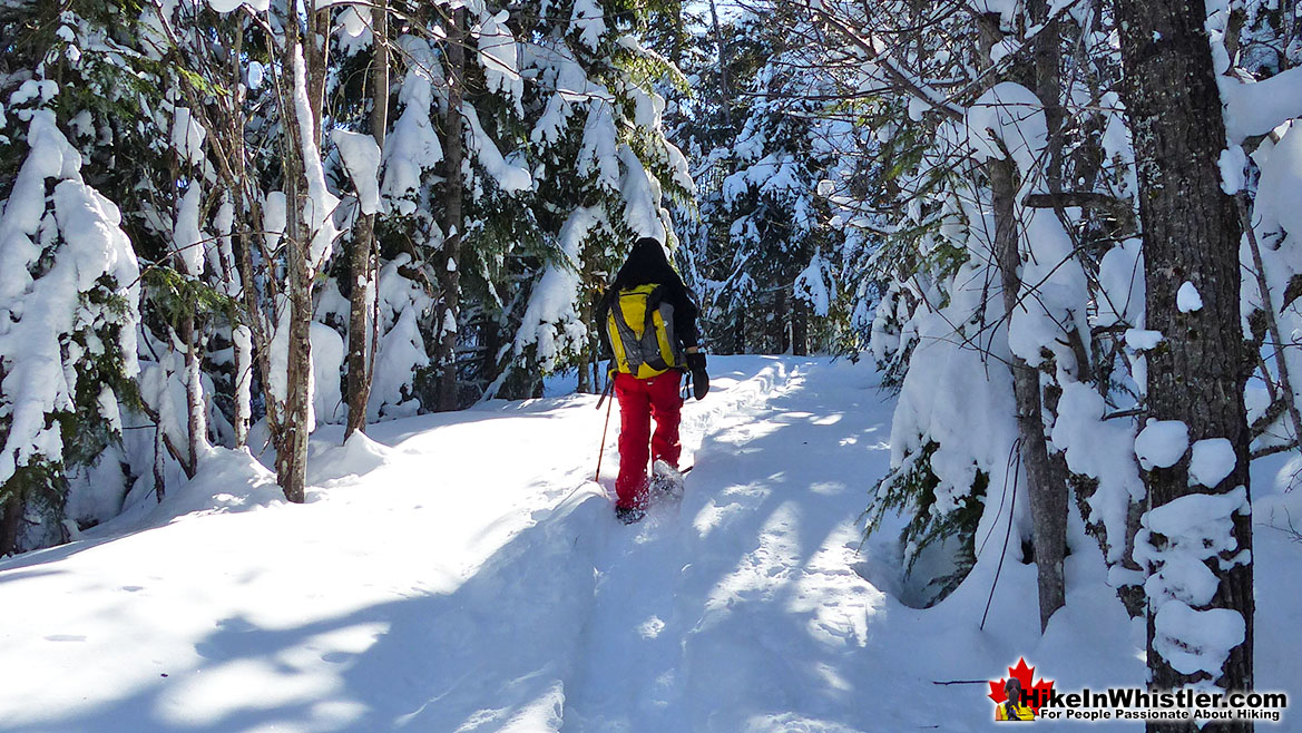 Snowshoeing the Flank Trail