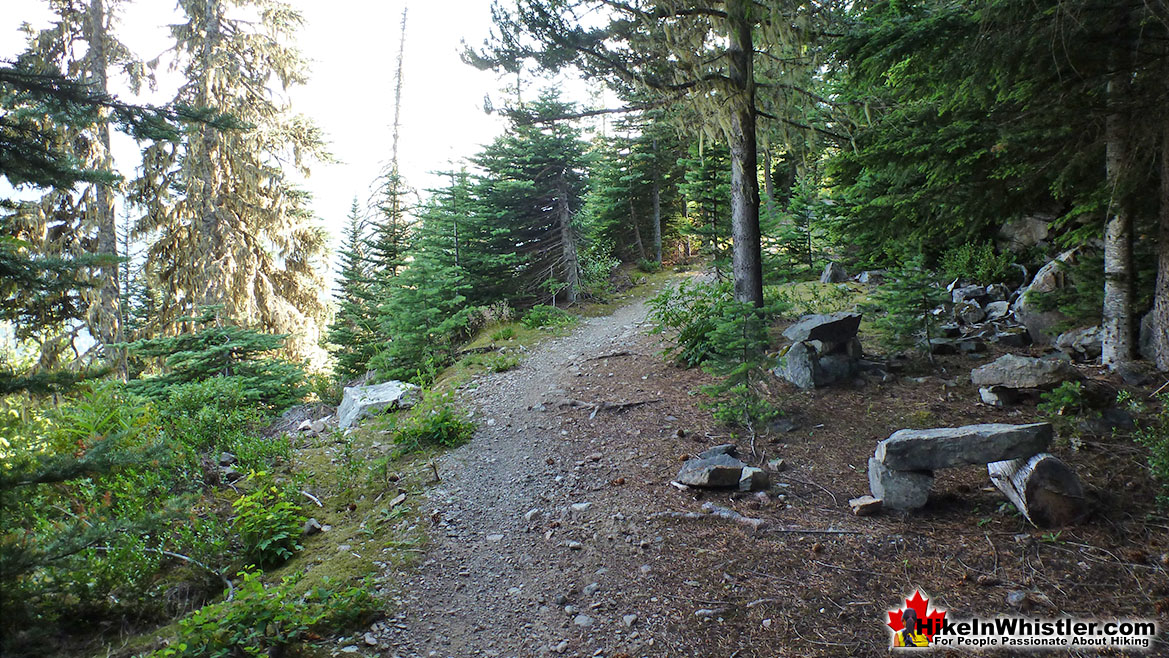 Flank Trail Rock Seats