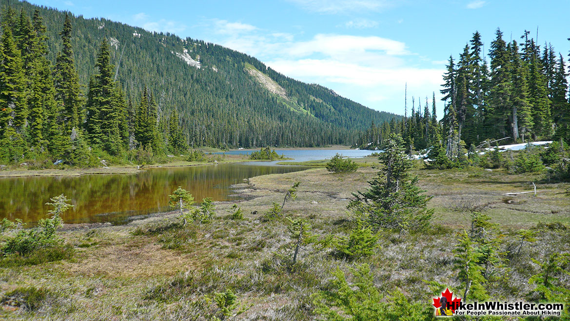 Ring Lake Trail Valley View