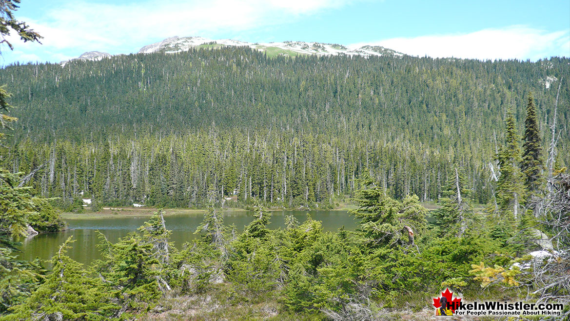 Conflict Lake Hike in Whistler