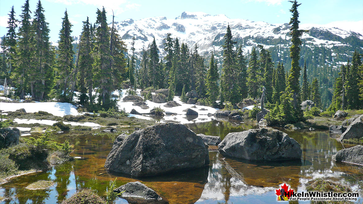 Ring Lake Trail Hike in Whistler