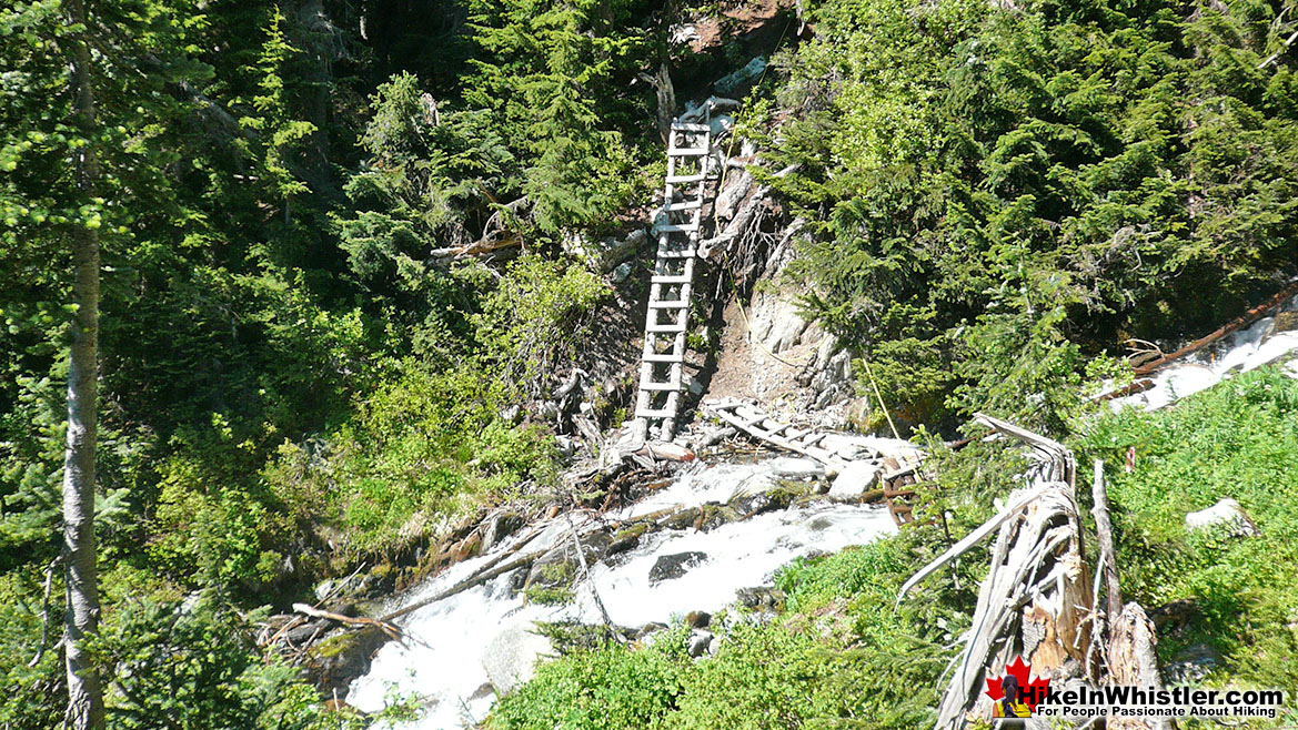 Ring Lake Trail Creek Crossing