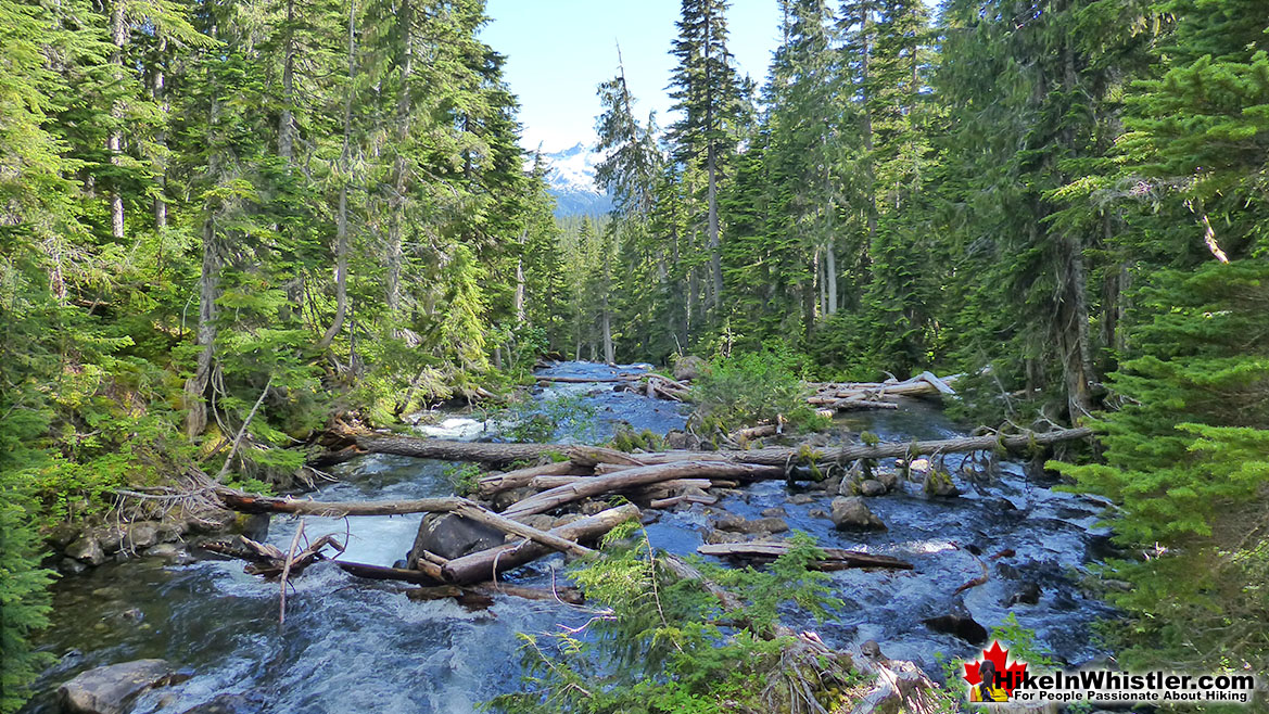 Callaghan Creek Near the Trailhead