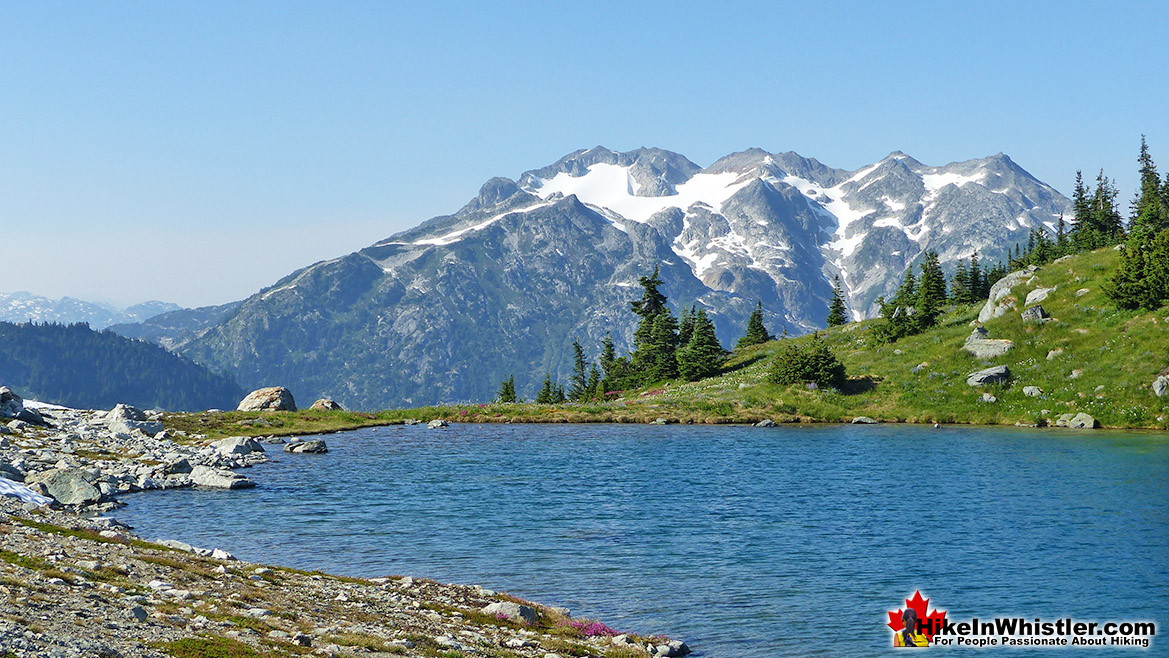 Mount Sproatt July Hiking in Whistler