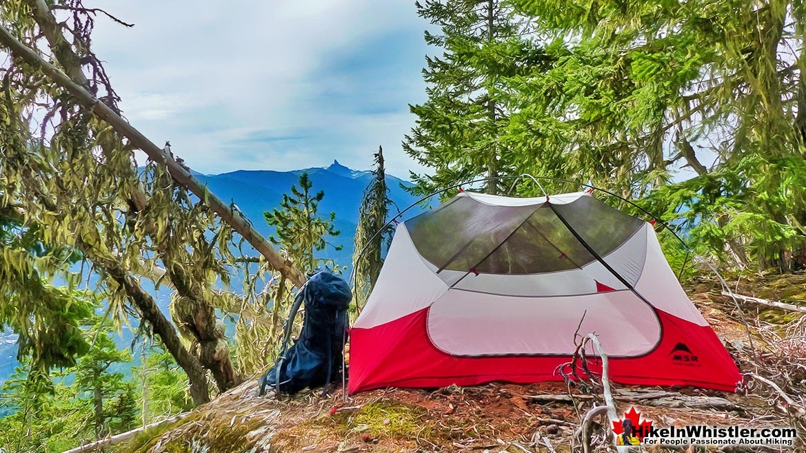 Sproatt East Tent View