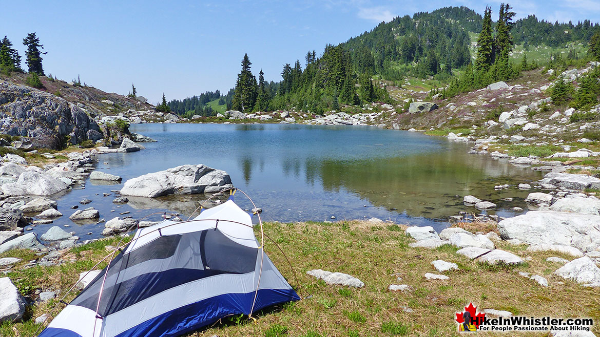 Sproatt West Tent View