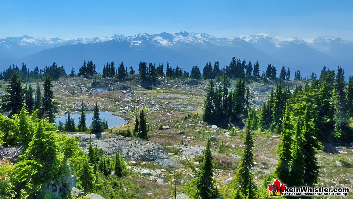 Sproatt West Mountain Panorama